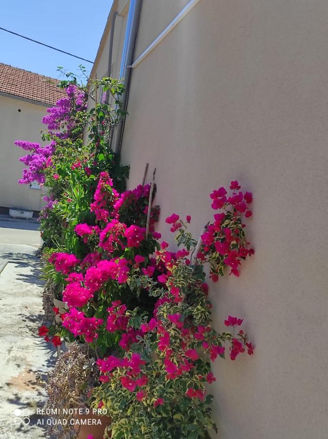 Apartments Iva Pakoštane Dış mekan fotoğraf