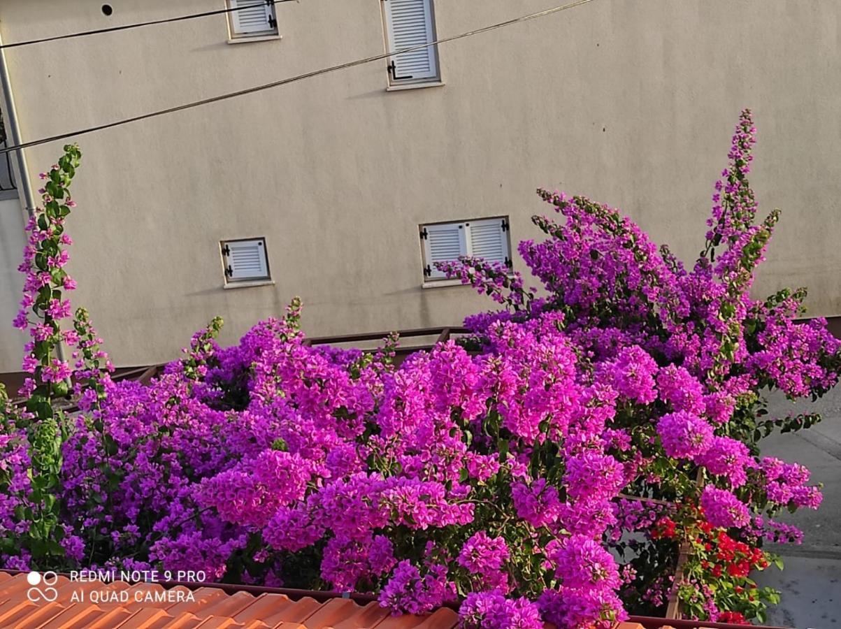 Apartments Iva Pakoštane Dış mekan fotoğraf